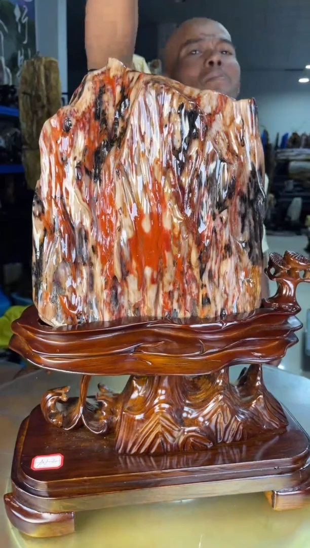 未镶嵌摆件硅化玉56