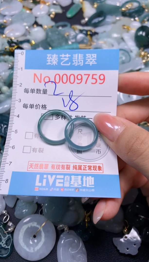 颈饰未镶嵌翡翠9759