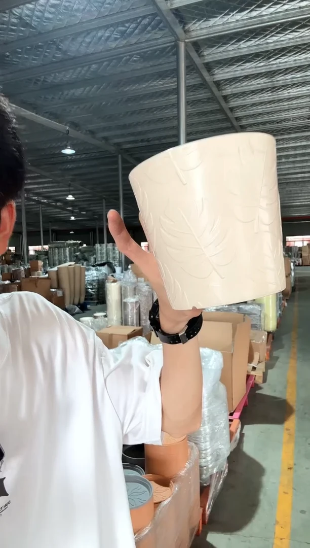 5.5寸丽芙叶子白色10只装