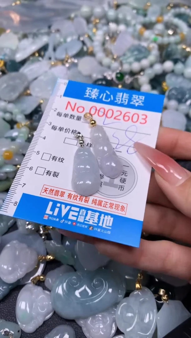 【闪购商品】翡翠颈饰未镶嵌含绳0002603