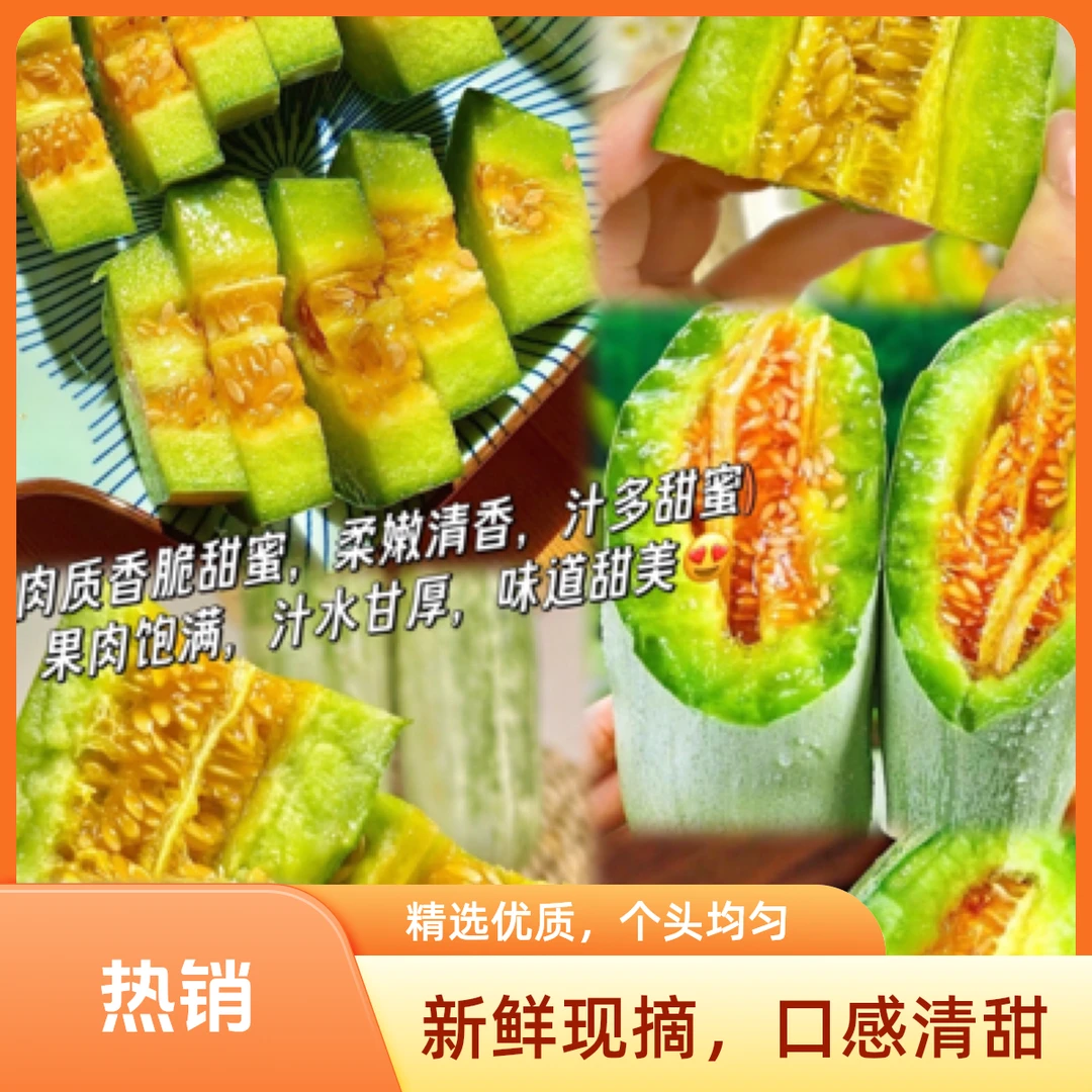 山东羊角蜜甜瓜8元一斤