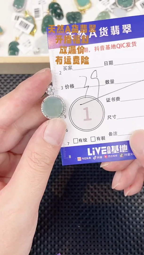 颈饰未镶嵌翡翠天然A货翡翠挂件