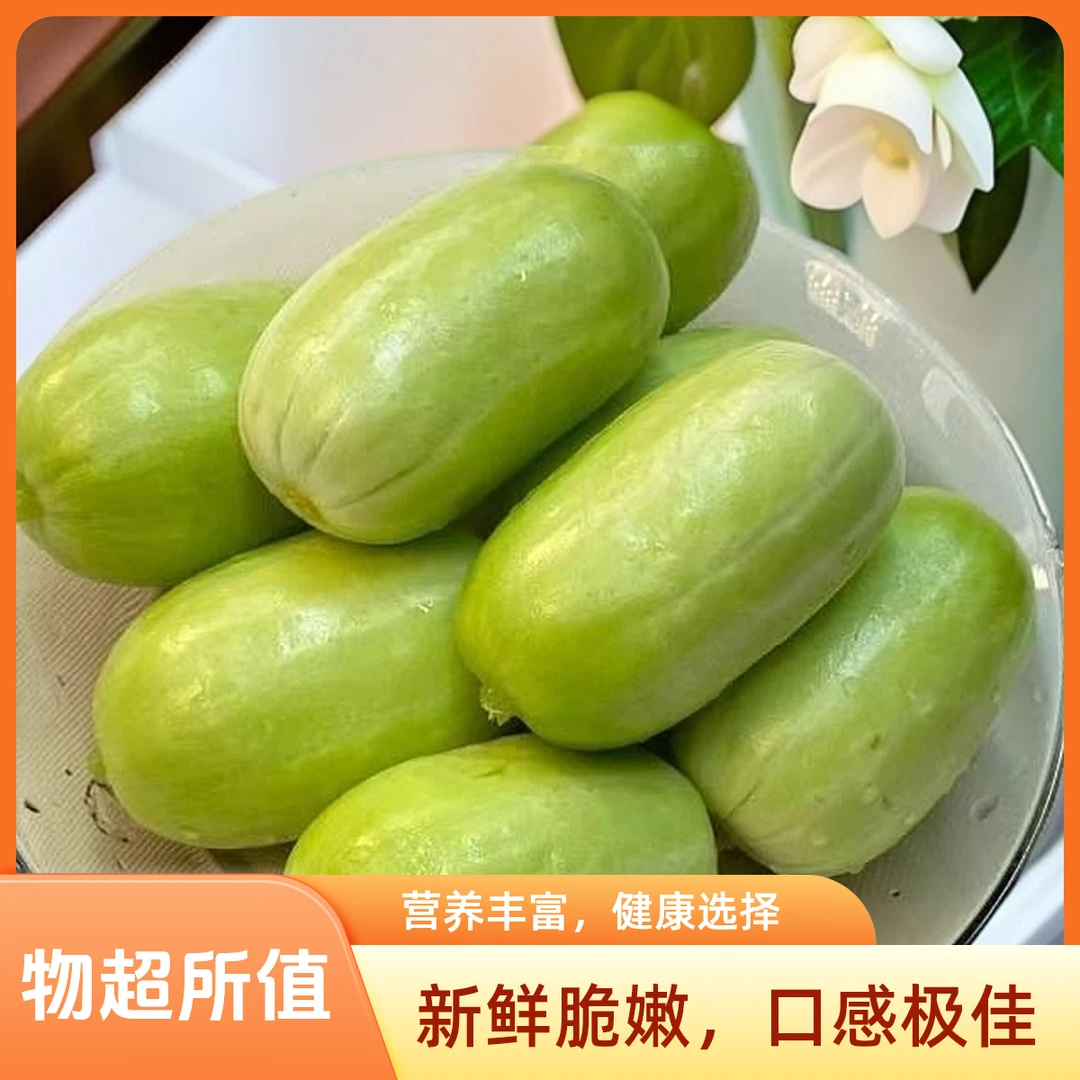山东寿光玉女黄瓜新鲜拇指黄瓜蘸酱凉菜水果黄瓜新鲜皮薄脆嫩生吃