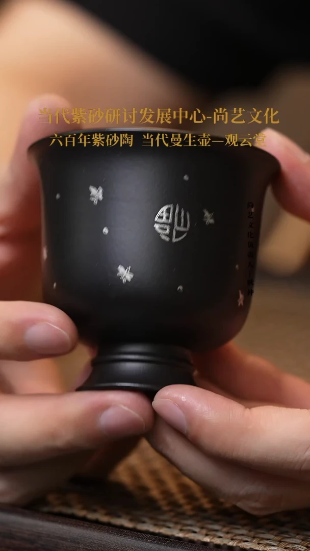 茶壶紫砂宜兴紫砂 紫砂壶 主人杯