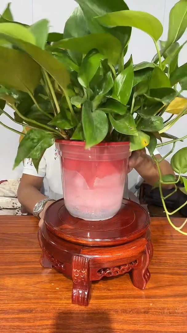 木非花虎头几20*22*12