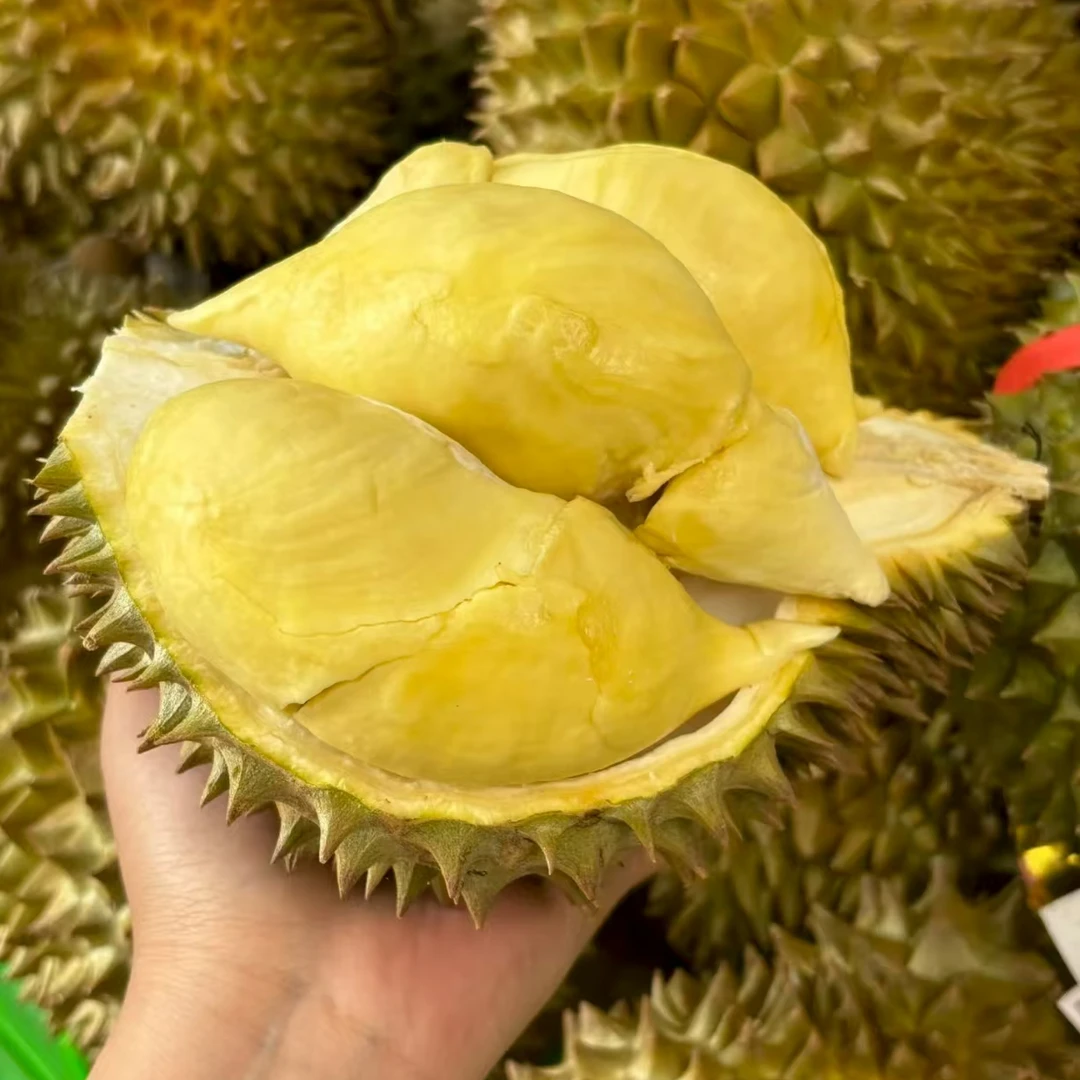 毛豆 【一物一拍】泰国进口金枕榴莲新鲜带壳鲜果榴莲软糯香甜