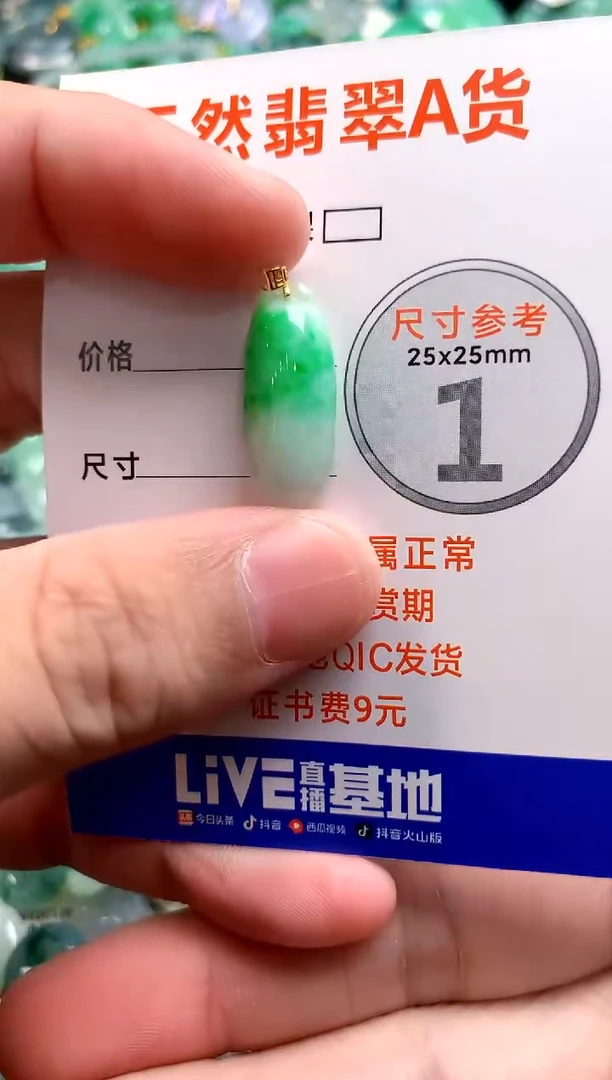 颈饰18K金镶嵌翡翠0818534847