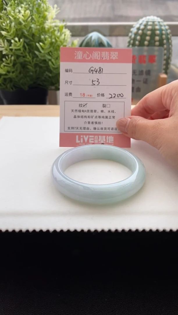 未镶嵌手镯翡翠53.4圈口 编码 G481