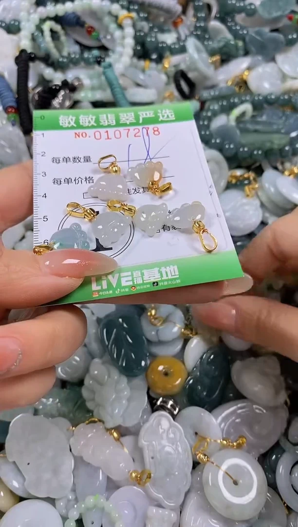 【闪购商品】翡翠颈饰未镶嵌闪购0107278