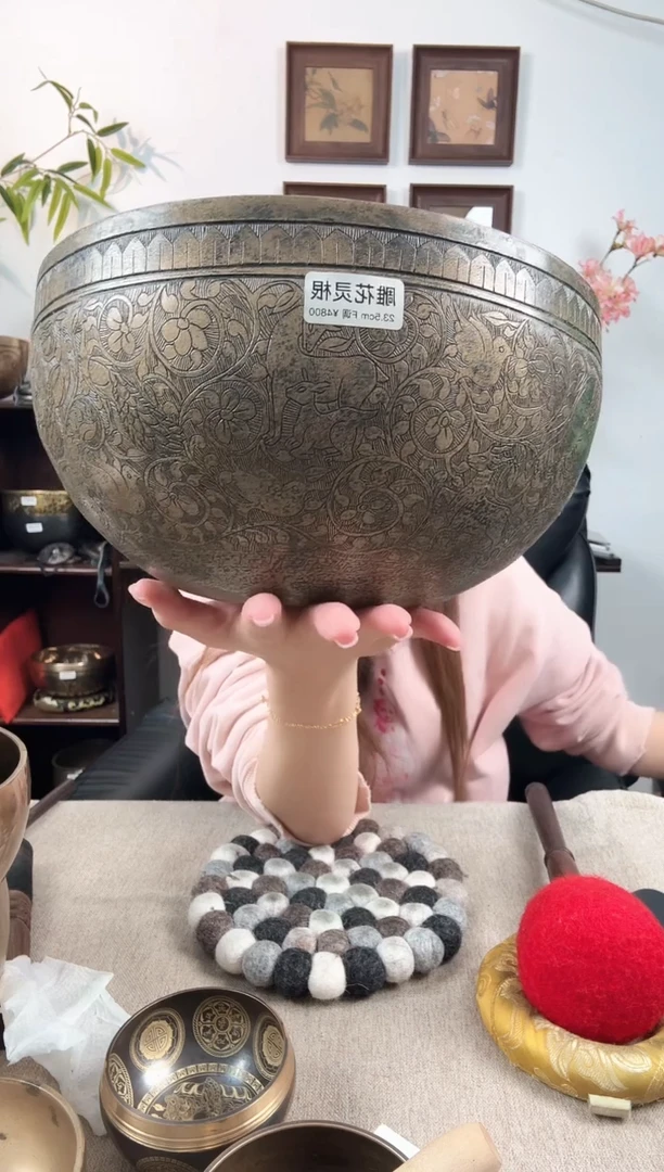 灵根 23，5