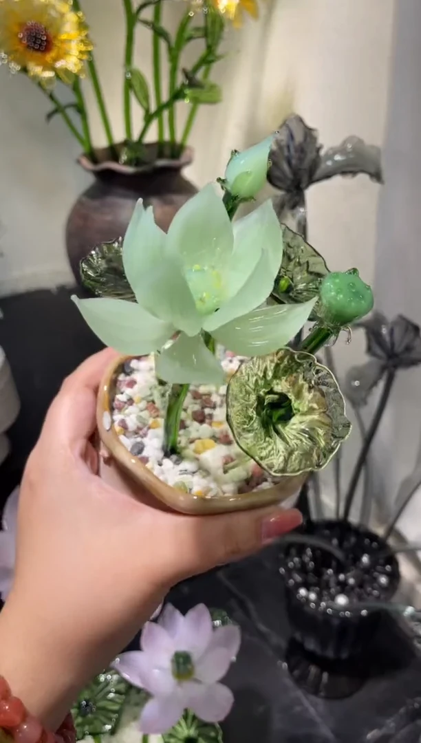 琉璃50荷花
