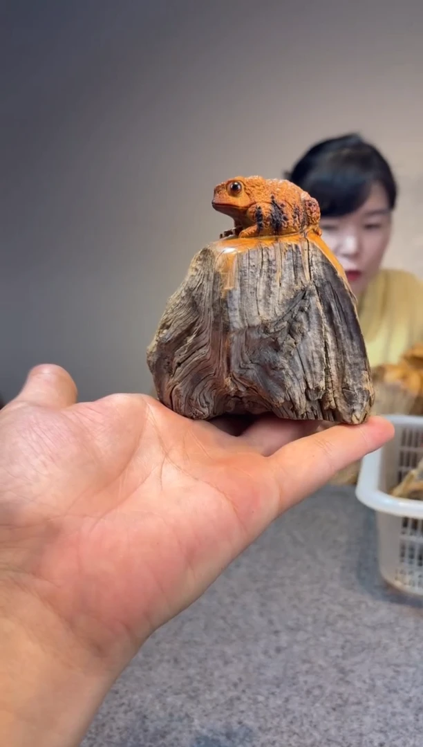 柏木（崖柏）会*始崖柏崖柏