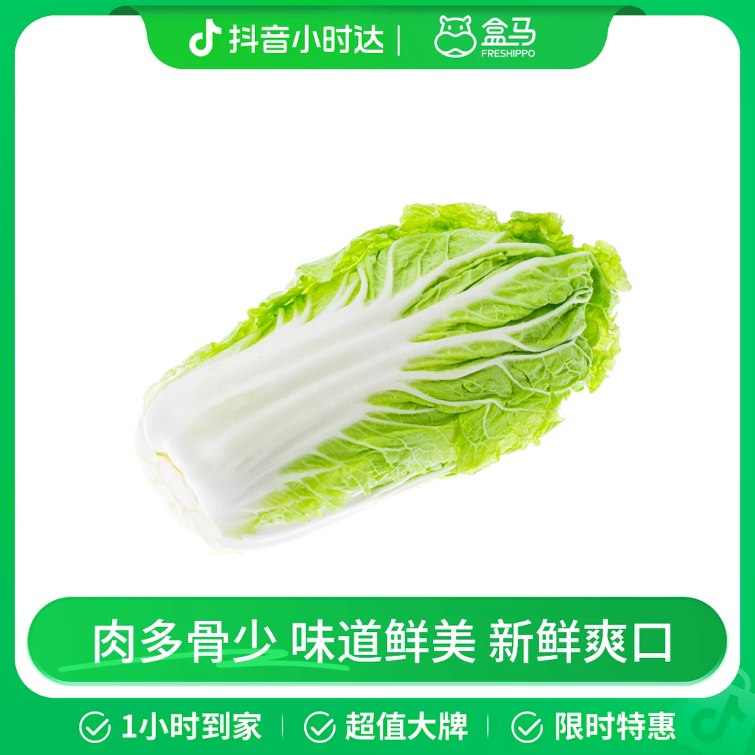 【高山鲜】 高山大白菜 1kg