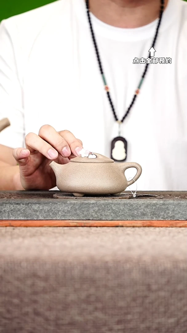 宜兴紫砂茶壶茶壶9