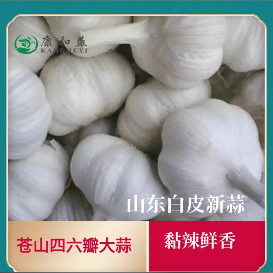 【赵老师专属】苍山四六瓣大蒜 产自中国大蒜之乡