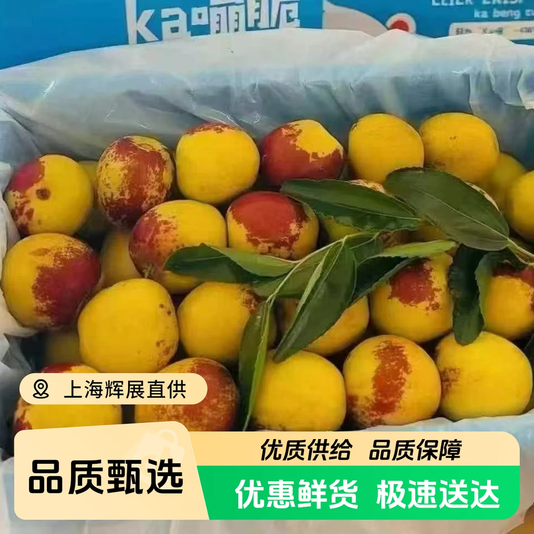 【活宝兄弟专属】冬枣甜枣脆甜新鲜纯甜精美礼盒上海市