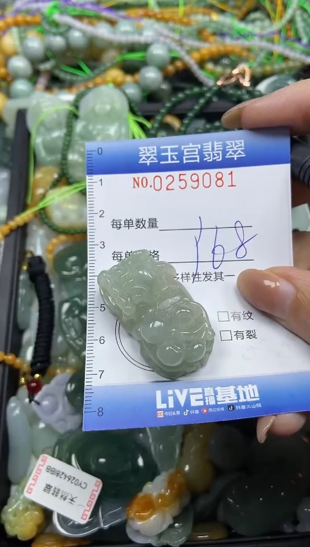 颈饰未镶嵌翡翠闪购C0259081