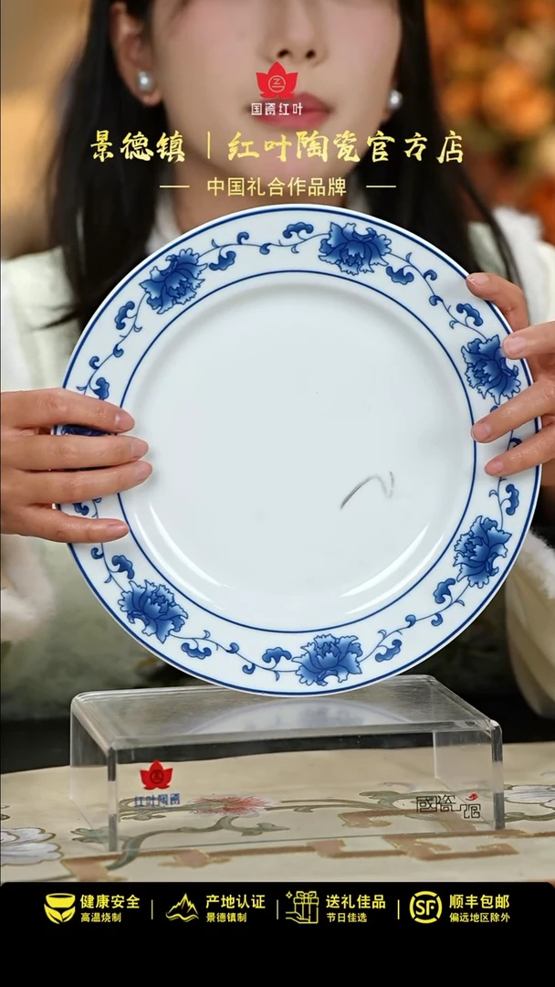 【闪购商品】1个微瑕满汉全席10英寸平盘