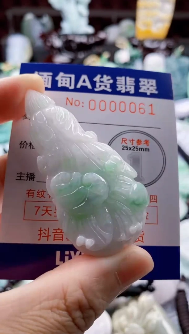 翡翠未镶嵌吊坠(不含链)1