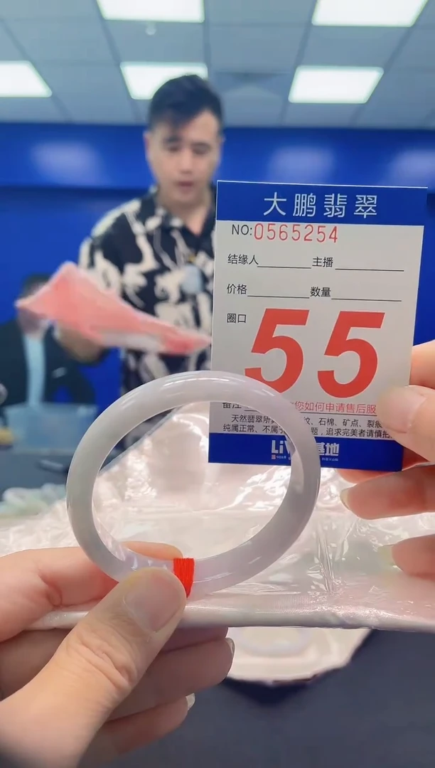 未镶嵌手镯翡翠AAAAAAAAA