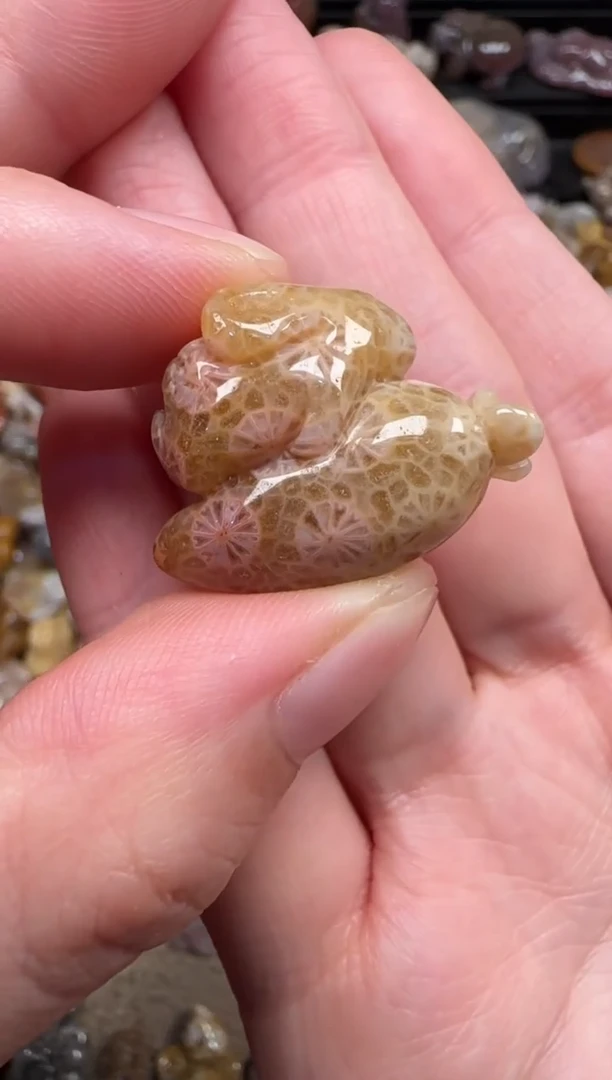 颈饰未镶嵌硅化珊瑚（珊瑚玉）356