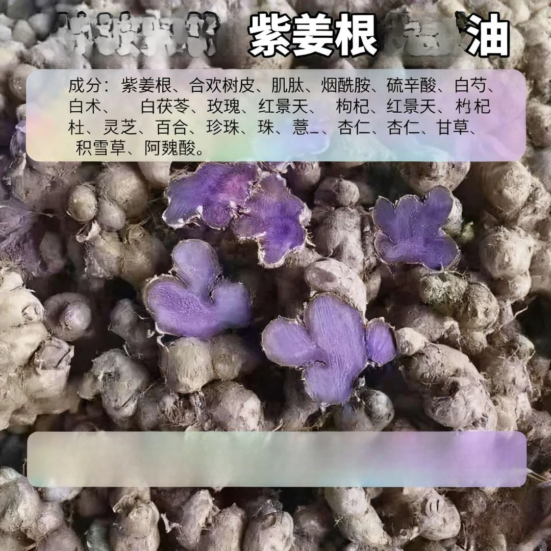 ky K·紫姜根精油