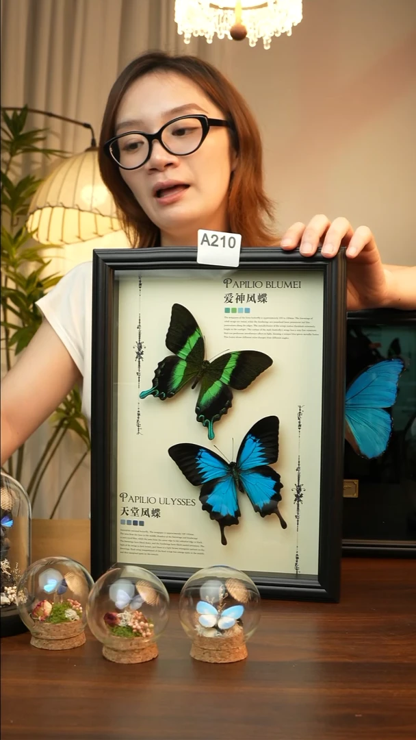 爱神凤蝶天堂凤蝶组合款(A4欧式黑框)A210