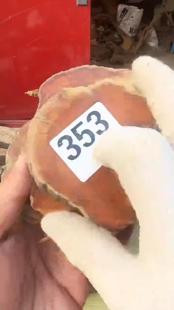 柏木（崖柏）太行陈化崖柏切片！随机一片！（1单3片）353