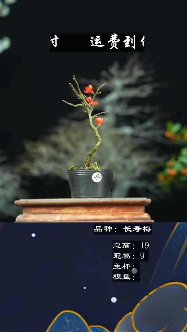 【闪购商品】无铅玻璃118