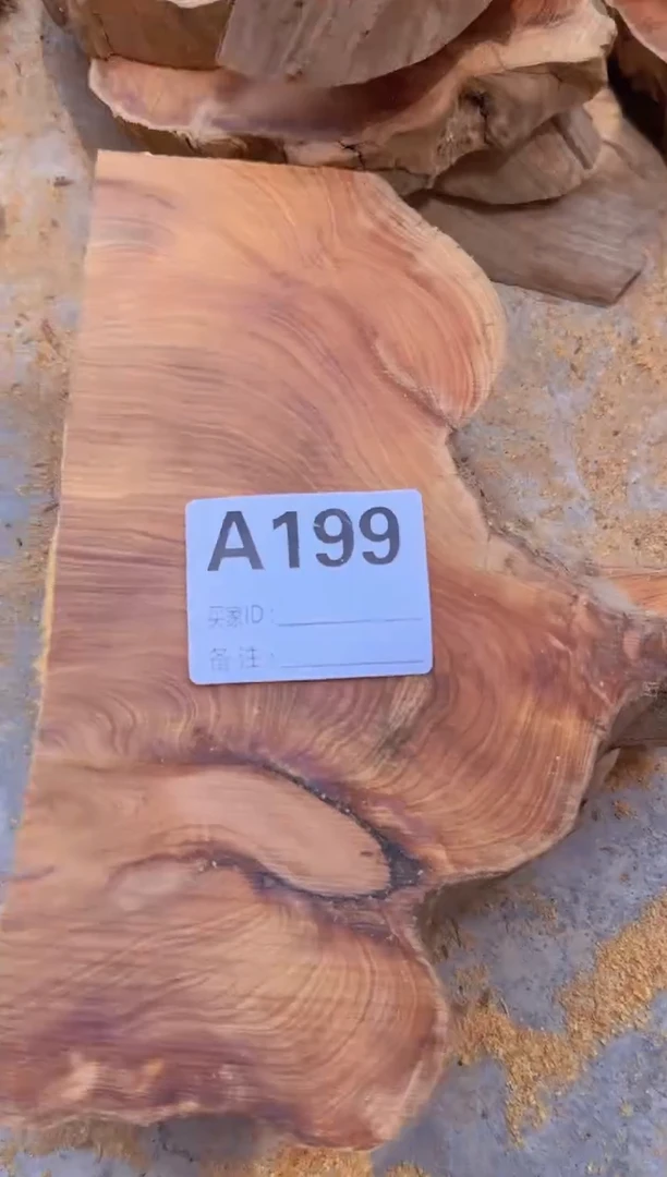 柏木太行陈化崖柏随机一片199