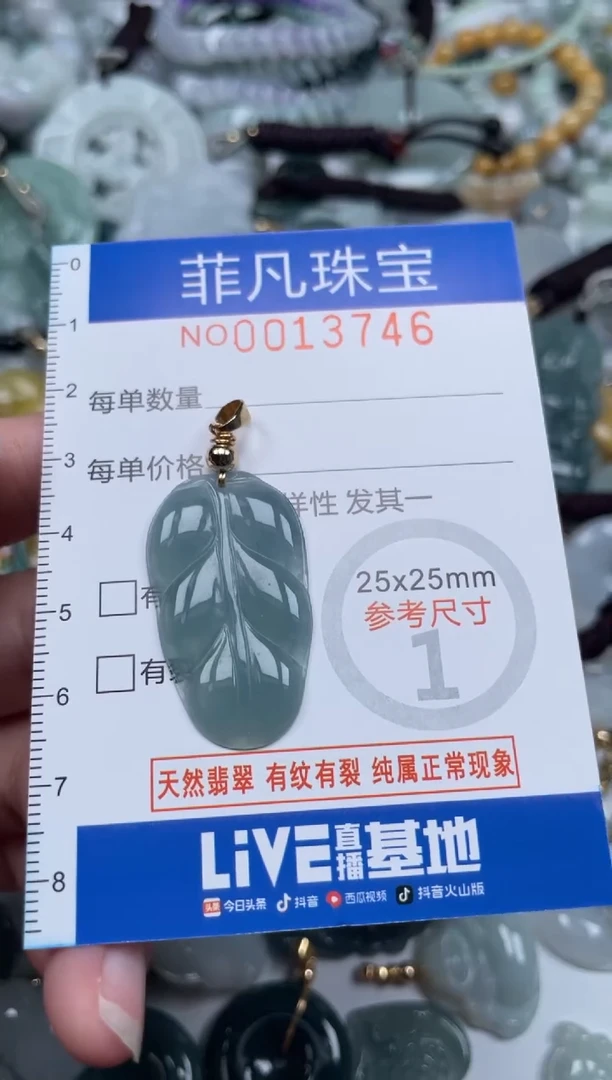 颈饰未镶嵌翡翠13746