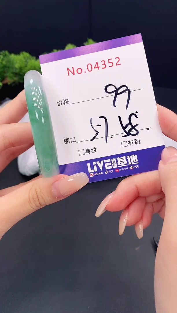 未镶嵌手镯翡翠4352
