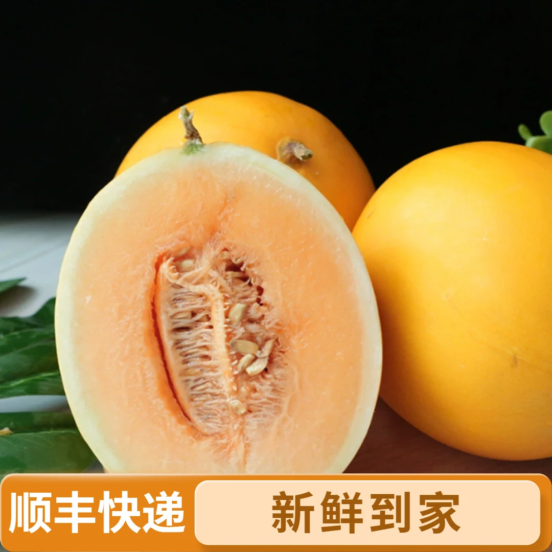 【王品】甘肃民勤蜜瓜7斤/8斤2-3粒装