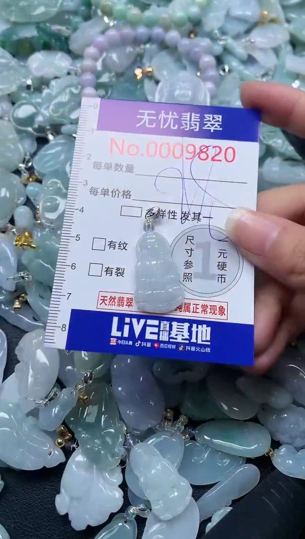颈饰未镶嵌翡翠9820