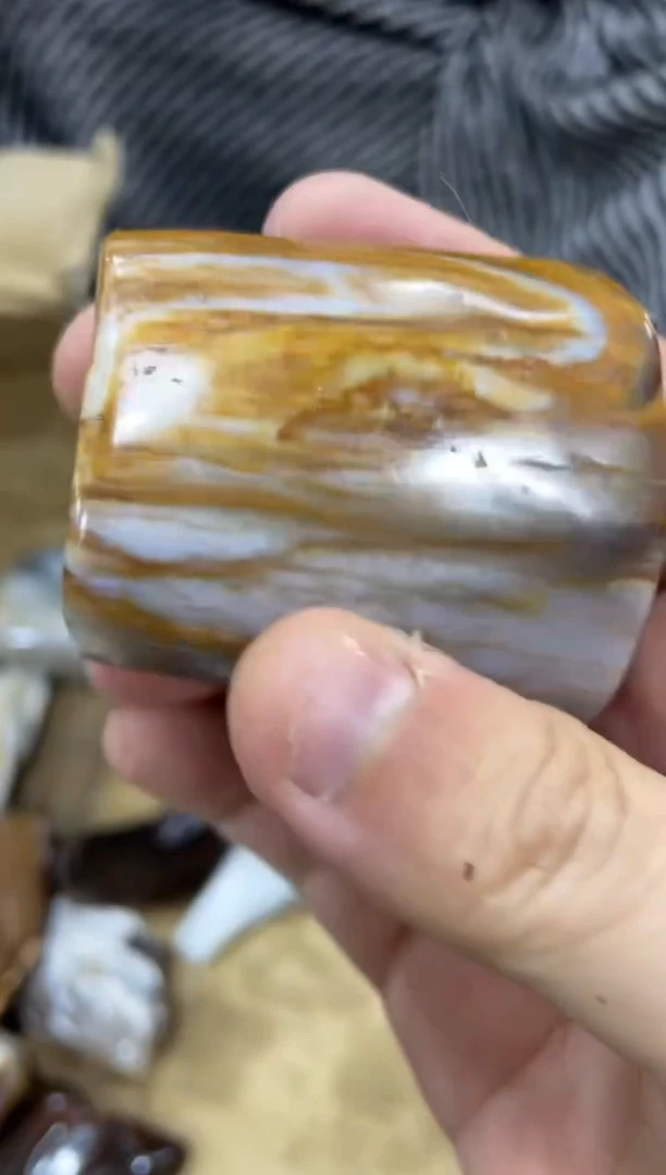 未镶嵌摆件硅化玉53