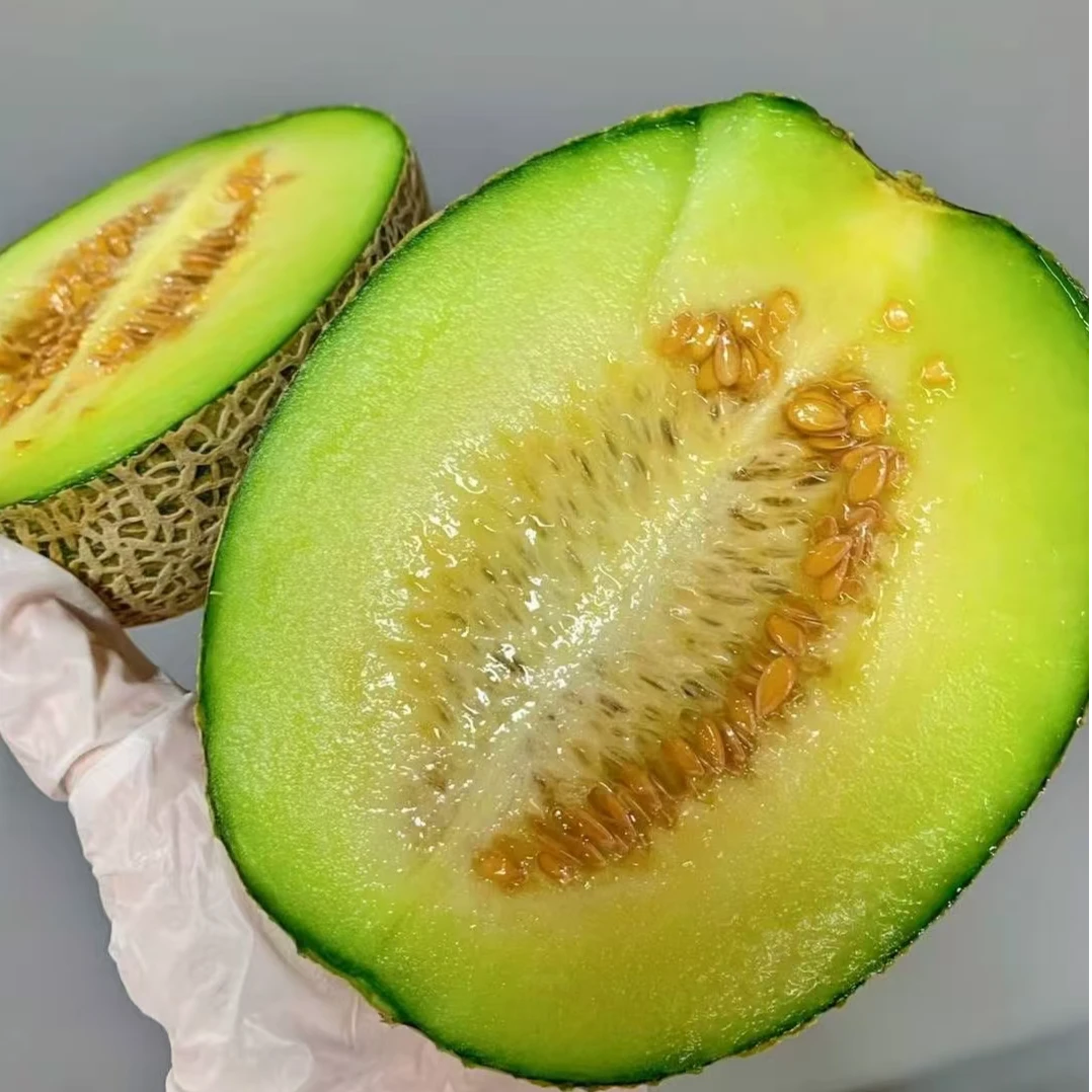 【吃货家优选】正版玫珑瓜一份4粒