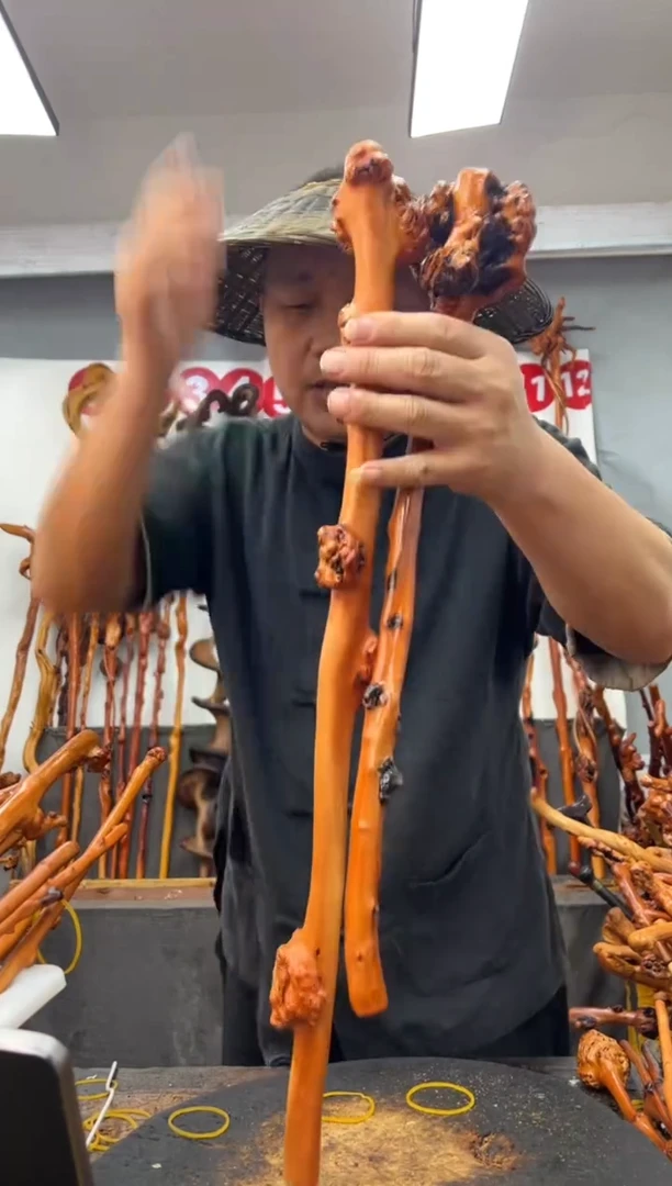 其他黑果木黑果木585