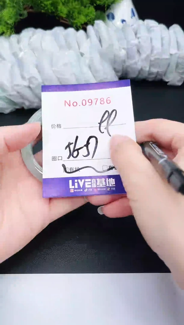 未镶嵌手镯翡翠9786