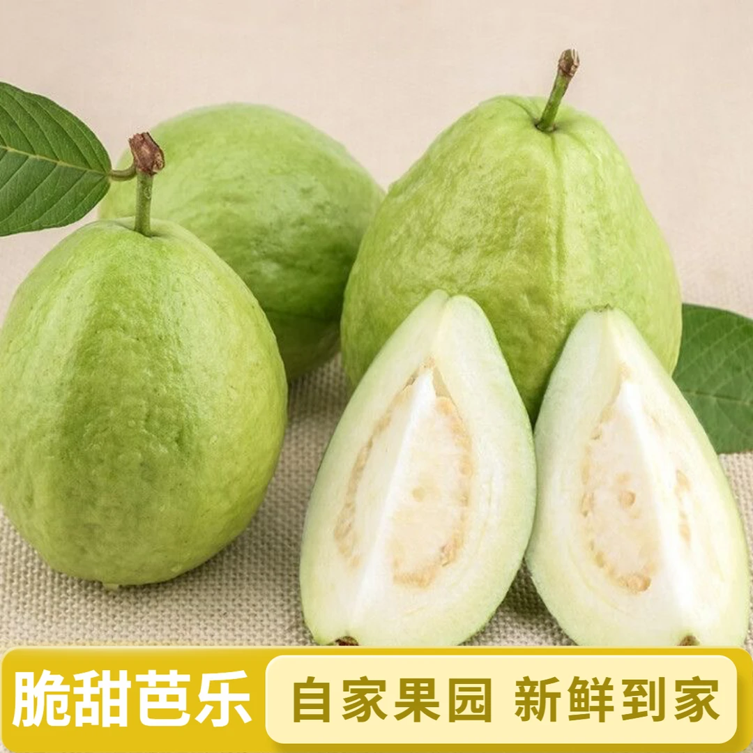自家珍珠番石榴白心芭乐低糖低卡VC孕妇应季时令水果产地直发