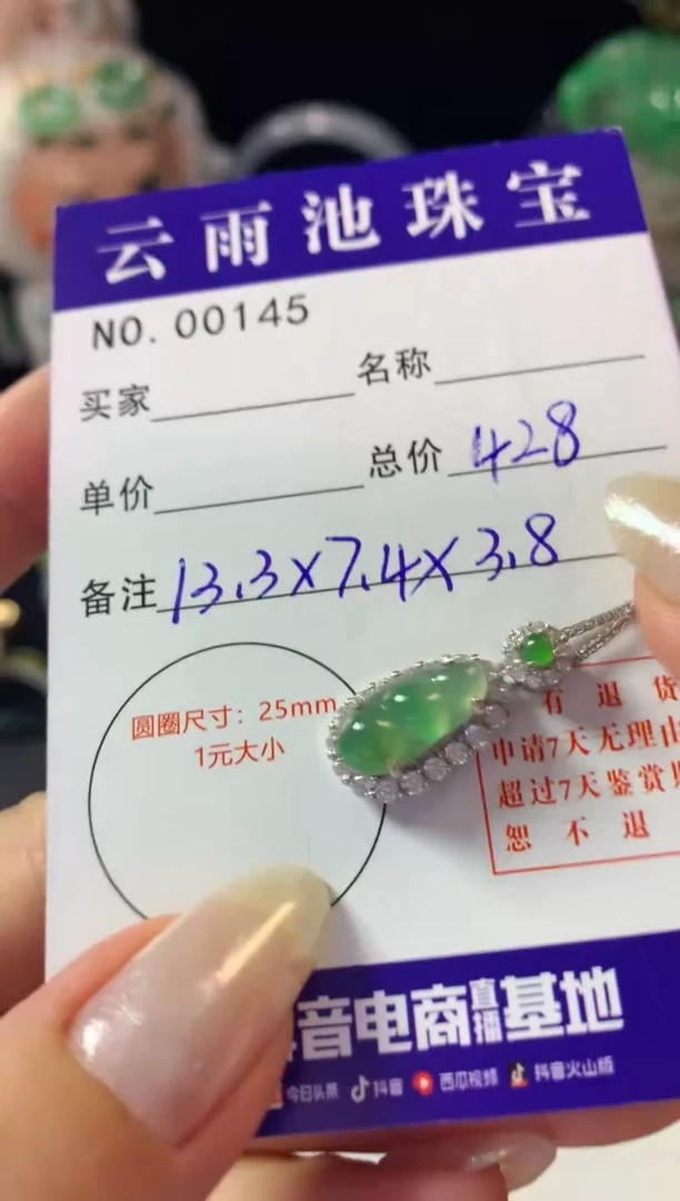 翡翠银S925镶嵌颈饰翡翠