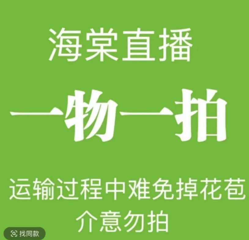 【直播】精品梅花老桩直播间一物一拍链接仅供付米（土球发货）