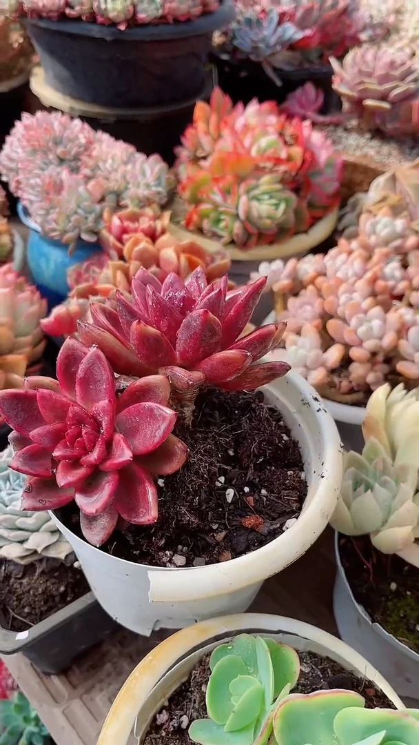 【闪购商品】18280