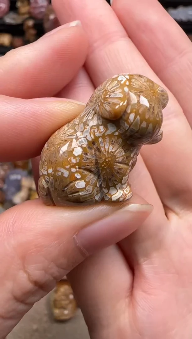 硅化珊瑚（珊瑚玉）未镶嵌颈饰205