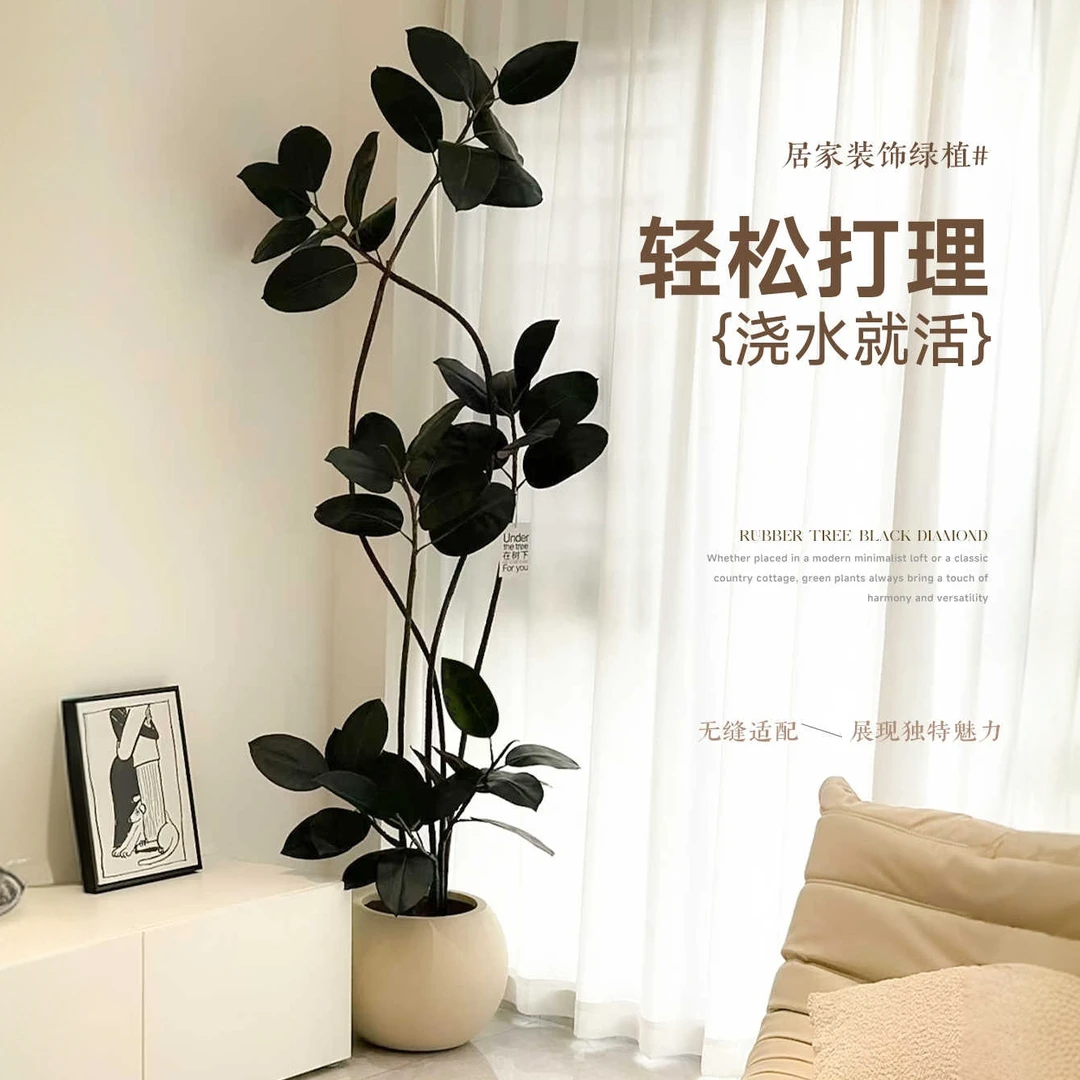 高端轻奢黑金刚橡皮树客厅电视机柜旁落地高品质盆栽