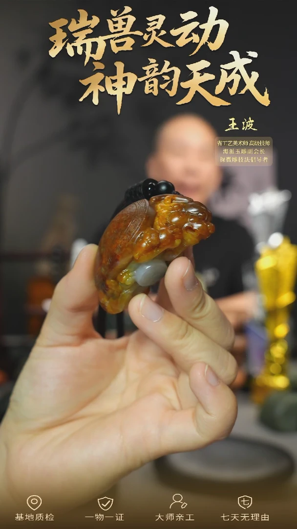 未镶嵌和田玉把件xjzl    wz
