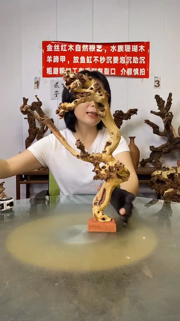 香榧木简*光金丝红木   羊蹄甲