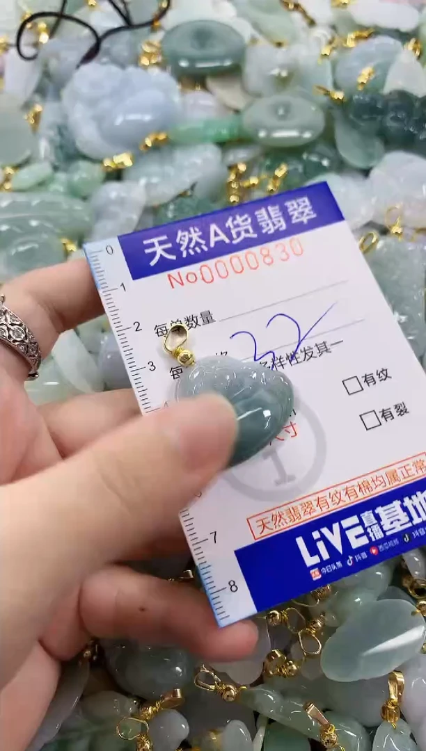 颈饰未镶嵌翡翠天然A货翡翠