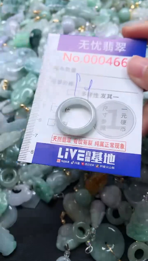 颈饰未镶嵌翡翠4664