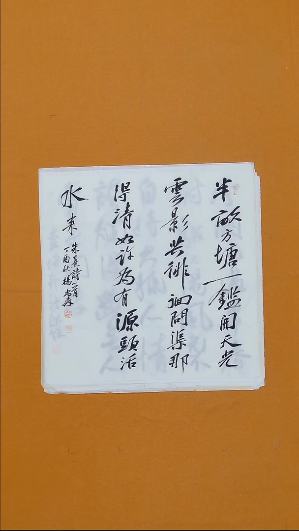 书法杨尚森   68*68 安徽