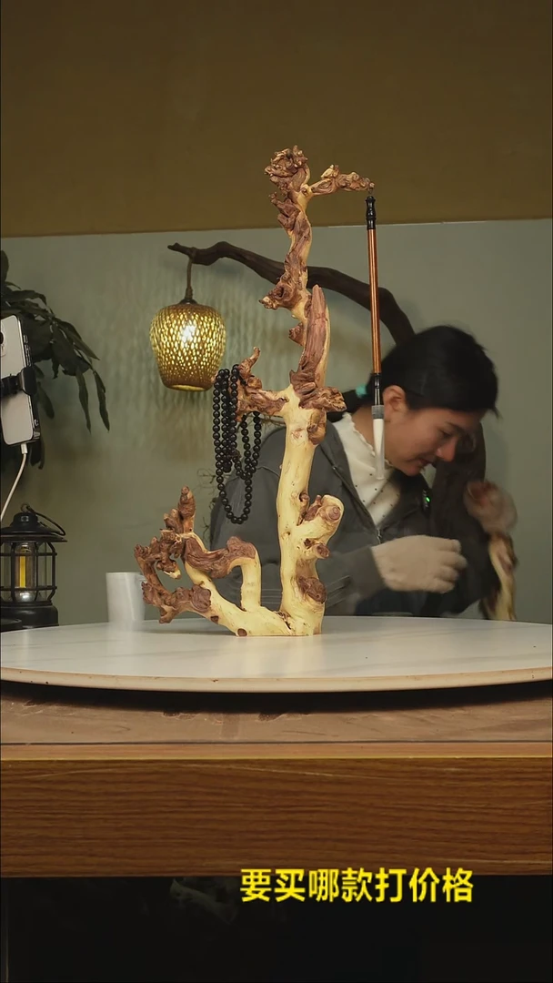 木༺****༻根雕摆件类819